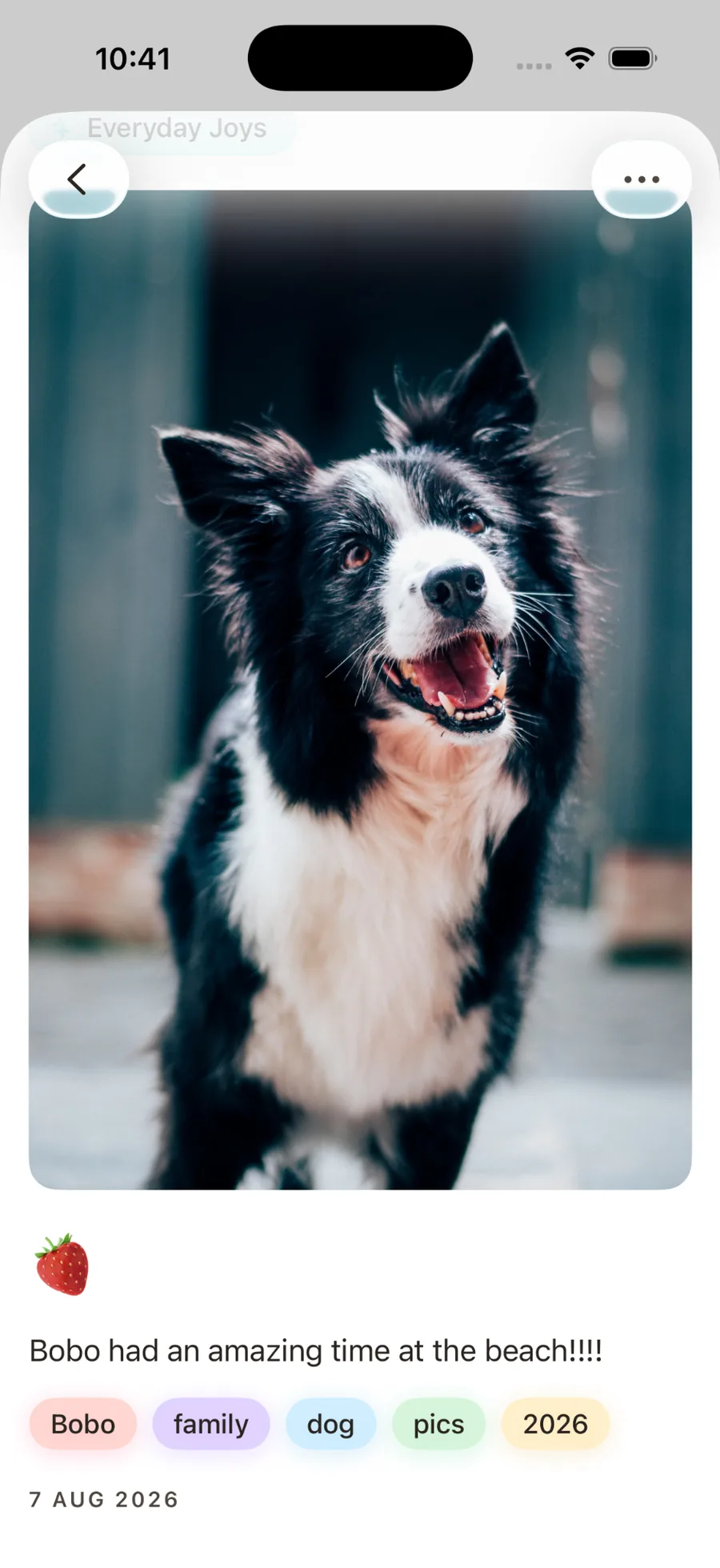 Photo journal moment with a dog photo, caption and tags