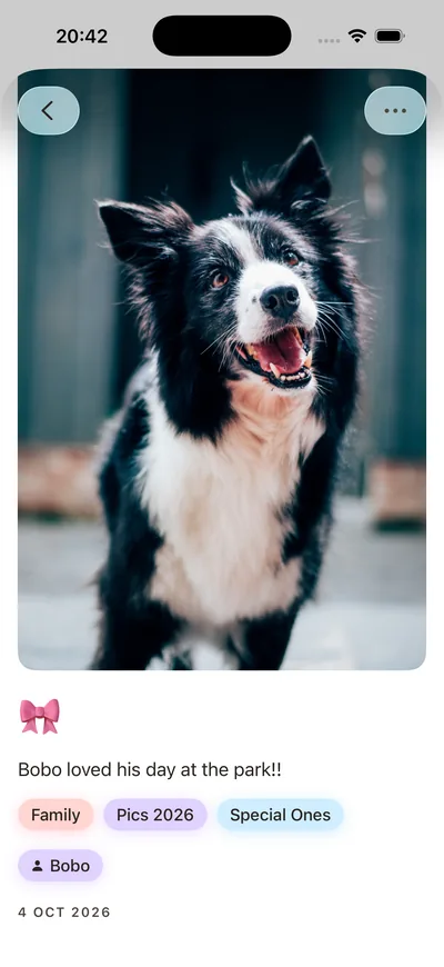 Stillkeep full Moment view with a dog photo, caption, tags and a person